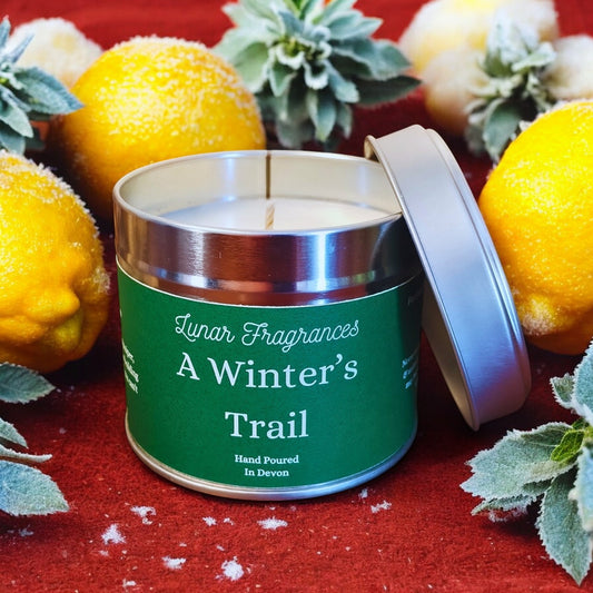 A Winter's Trail Soy Wax Tin Candle