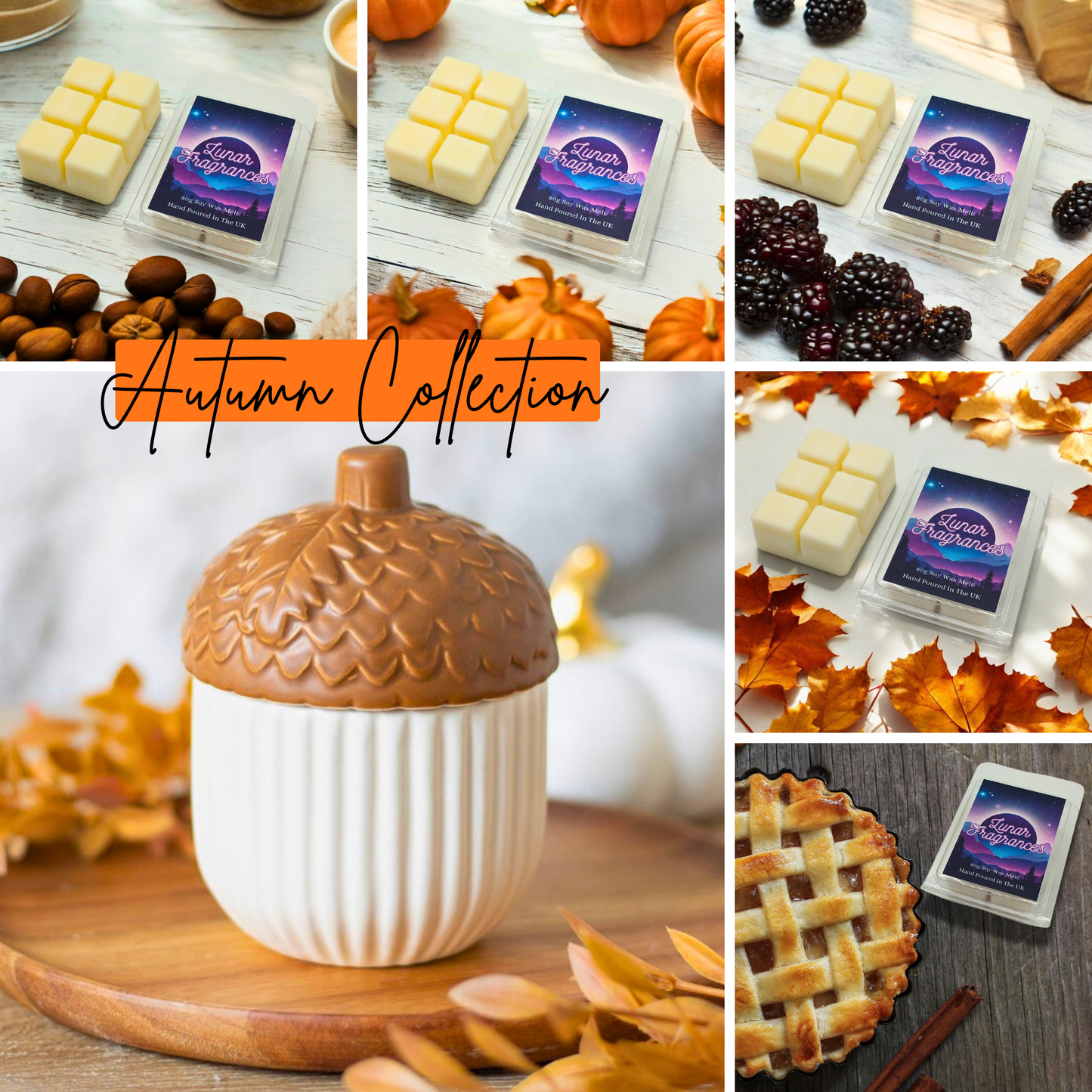 Autumn Acorn Wax Melt Burner & Wax Melts Bundle