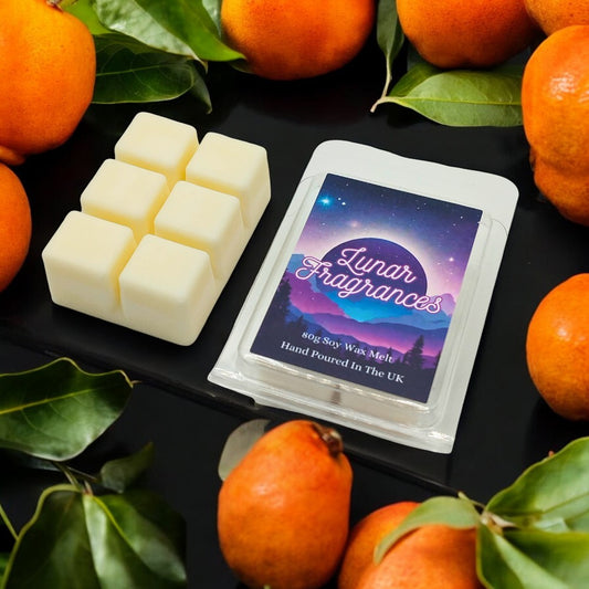 Aventus Clamshell Wax Melts