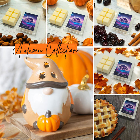 Autumn Gonk Wax Melt Burner & Wax Melts Bundle