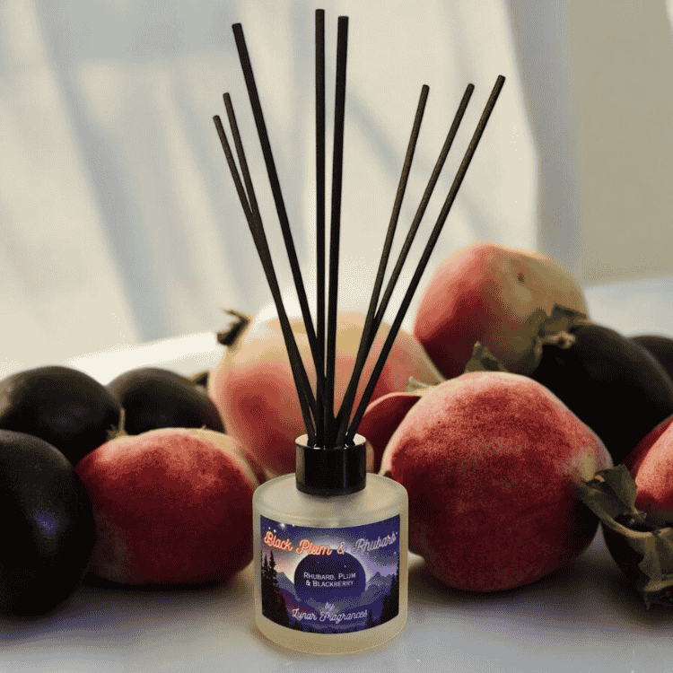 Black Plum & Rhubarb Reed Diffuser | Fruit Reed Diffuser – Lunar Fragrances