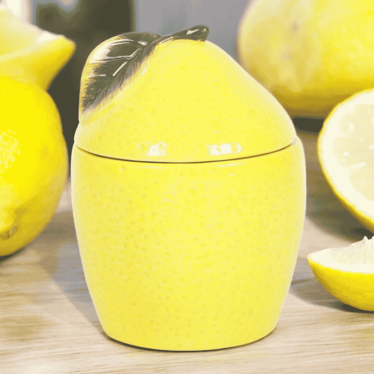 Lemon Wax Warmer