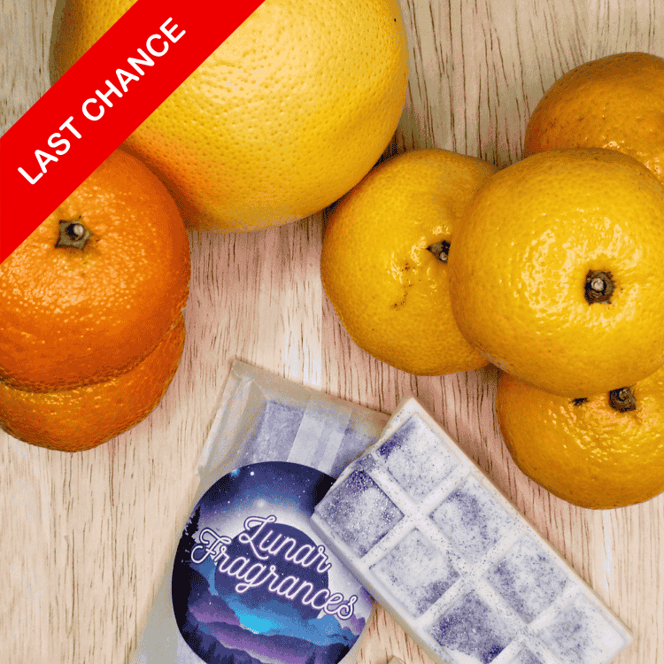 Satsuma Bubbles Wax Melt