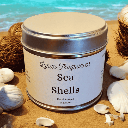 Sea Shells Candle