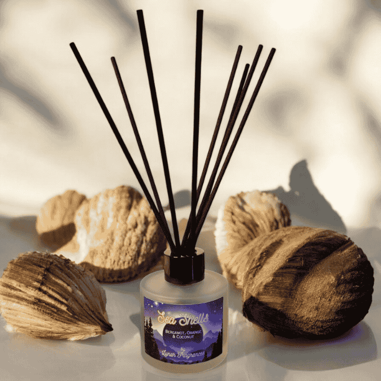 Sea Shells Reed Diffuser | Free Delivery Over £30 – Lunar Fragrances
