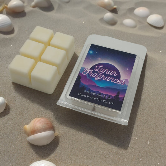 Sea Shells Clamshell Wax Melt