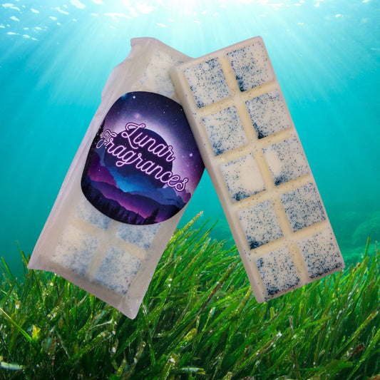 Seaweed & Juniper Snap Bar Wax Melt